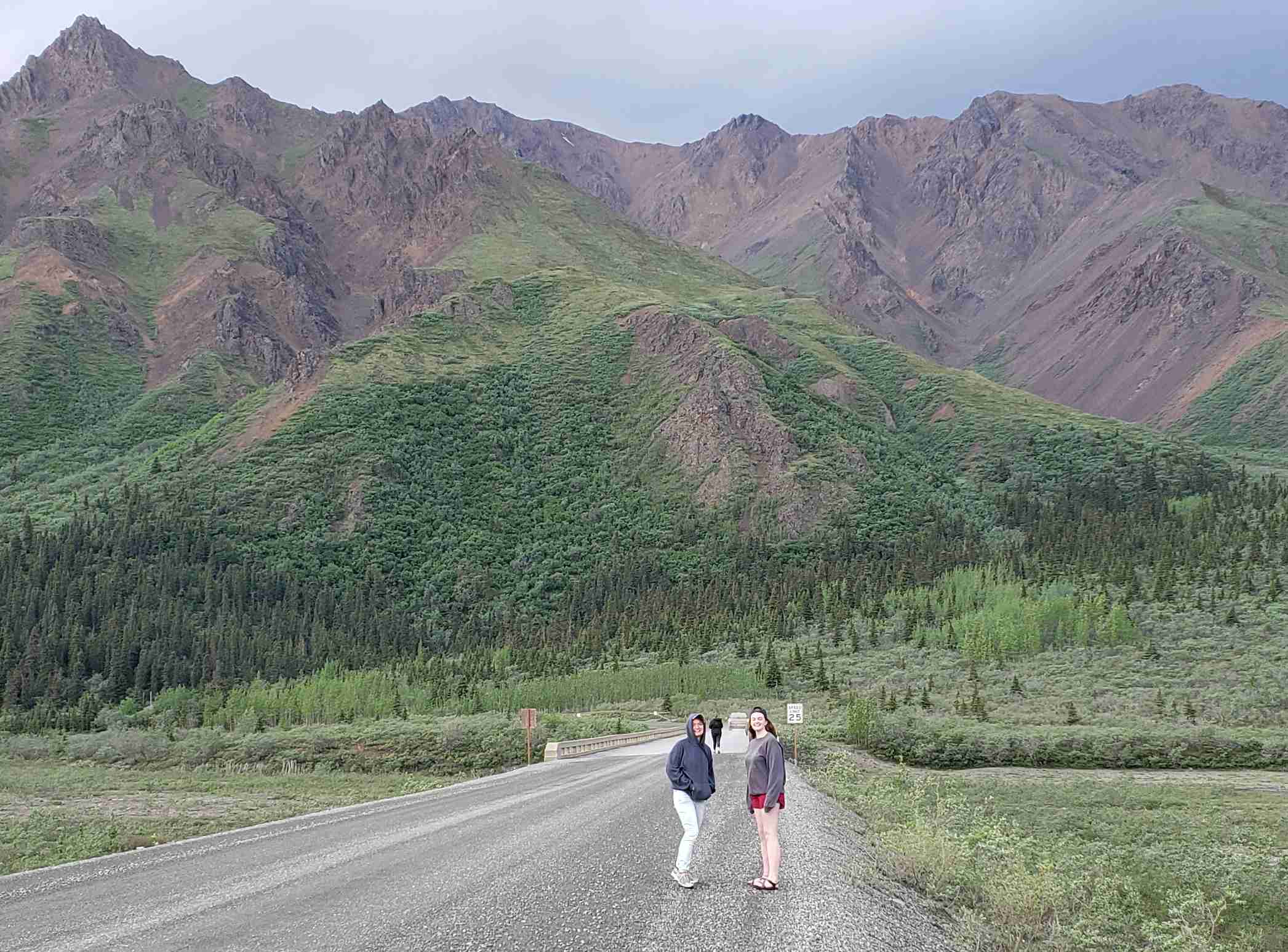 2019-06-14 ALCAN Denali Tolkat JC road.jpg